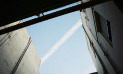 Featured image of post Image Test